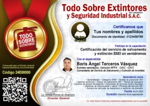 Certificado de la capacitación Certificación del servicio de salvamento y extinción de incendios SSEI en aeródromos